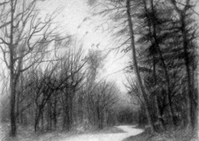 Ommen en omstreken 1